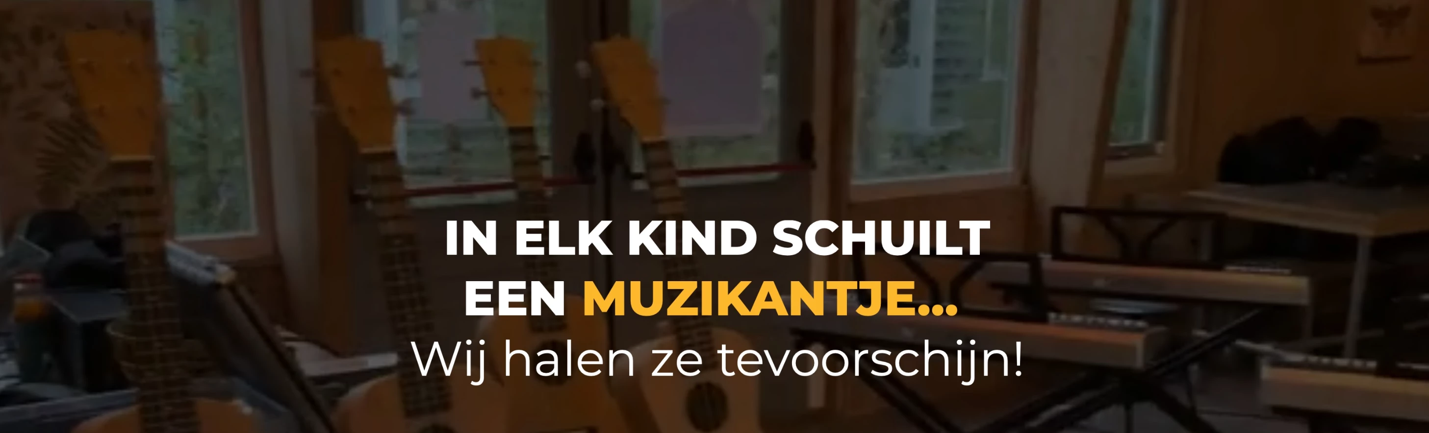 Muzikantjes Muziekactiviteiten